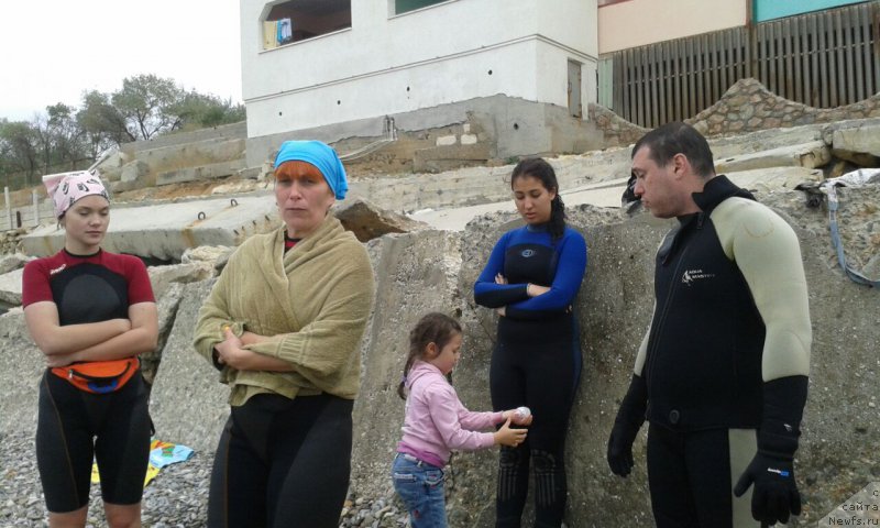 Фотография № 164206