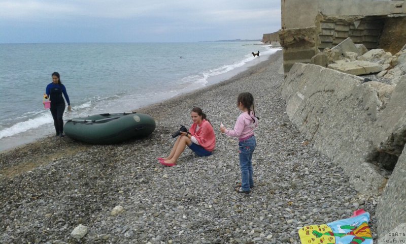 Фотография № 164207