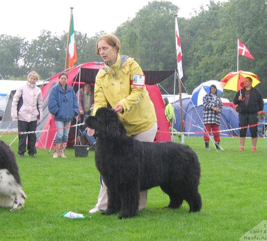 Фотография № 16422