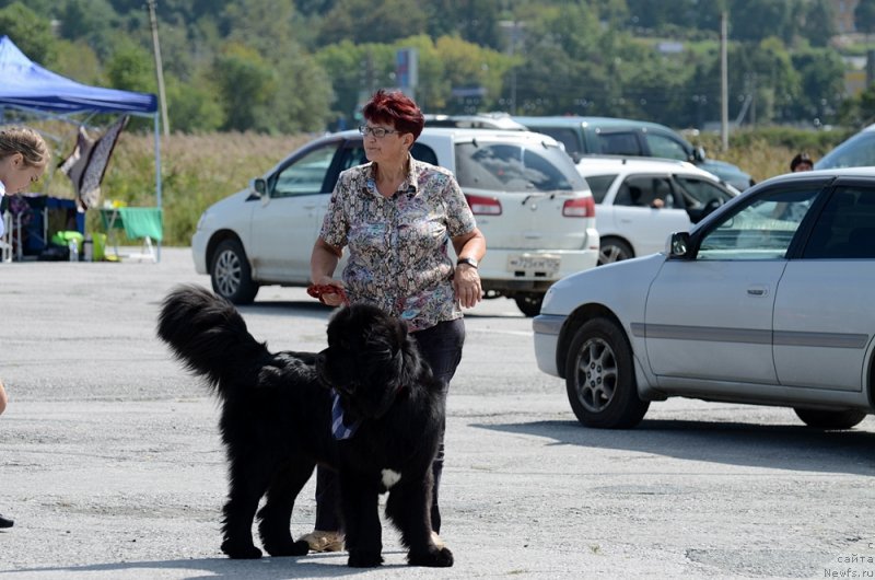 Фотография № 164237