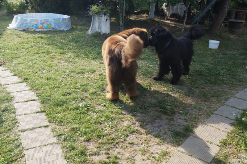 Фотография № 164238