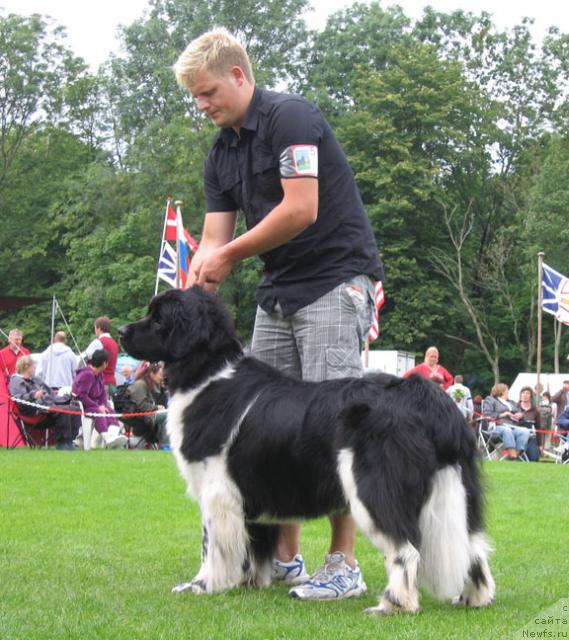 Фотография № 16424