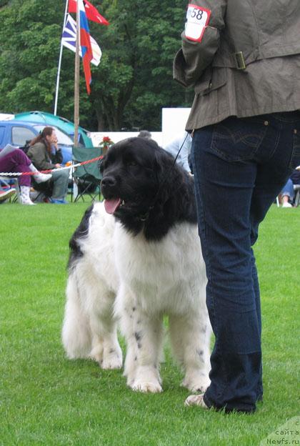 Фотография № 16425