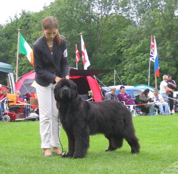 Фотография № 16427