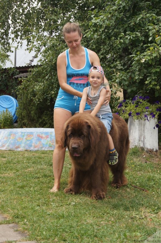 Фотография № 164271