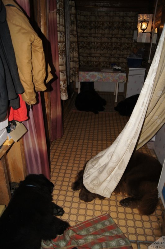 Фотография № 164300