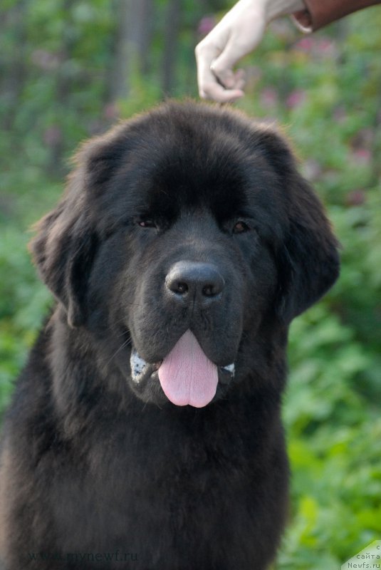 Фотография № 164303