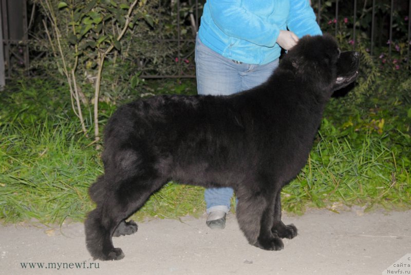 Фотография № 164304