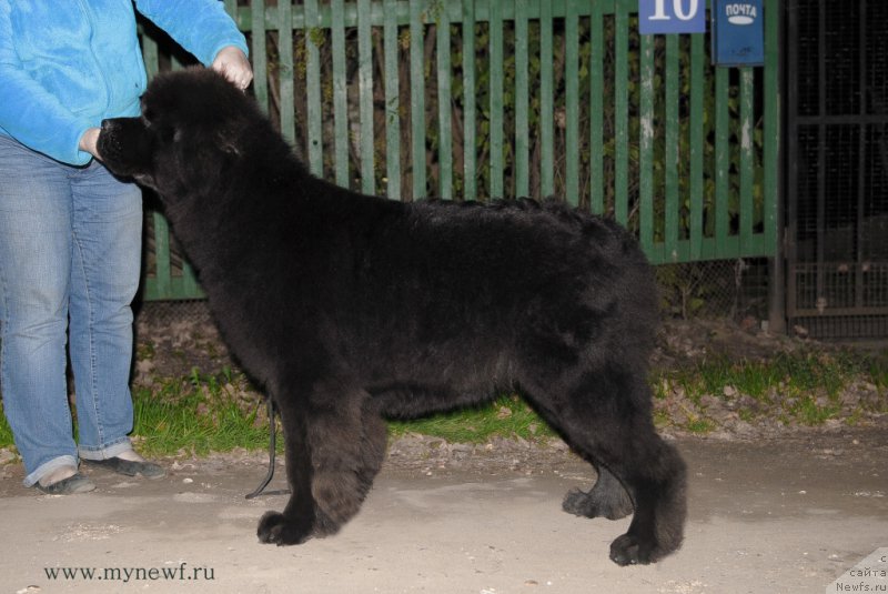 Фотография № 164308