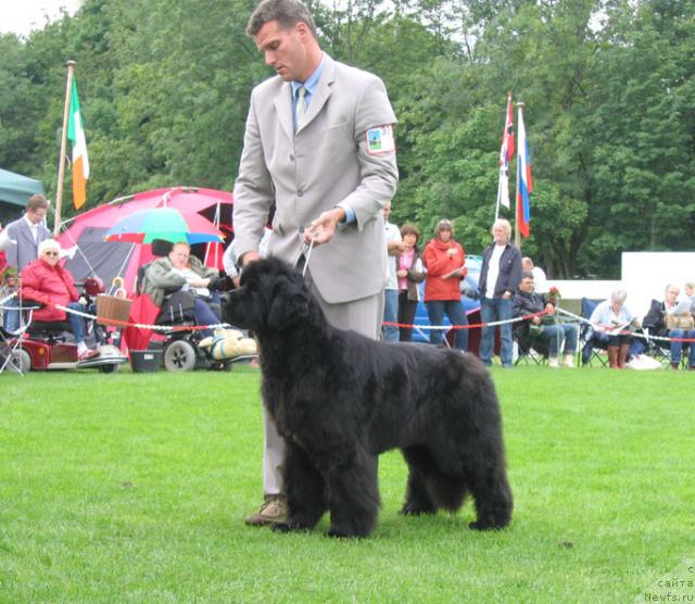 Фотография № 16431