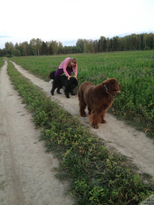 Фотография № 164311