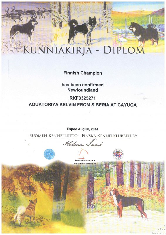 Фото: ньюфаундленд Акватория Келвин Фром Сибириа эт Каюга (Aquatoriya Kelvin From Siberia at Cayuga)