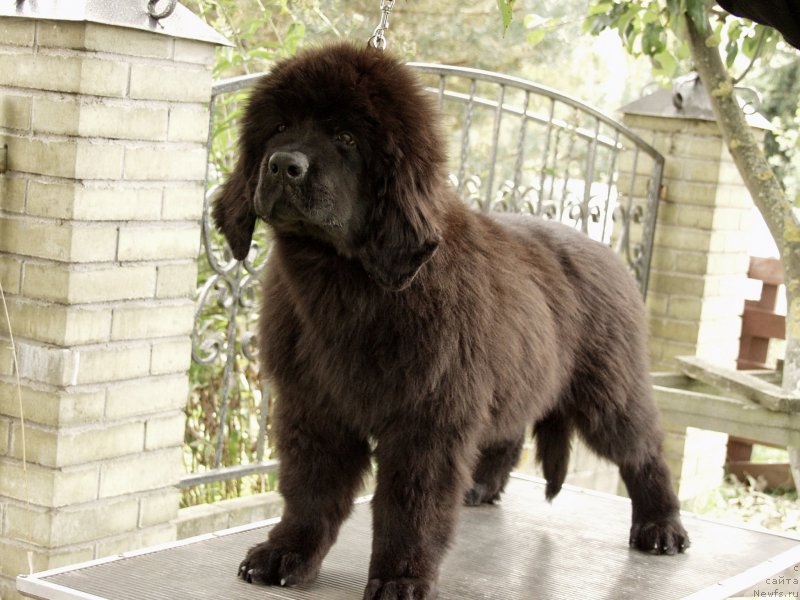 Фотография № 164359