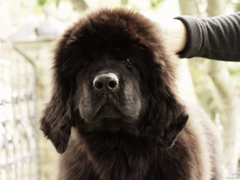 Фотография № 164362