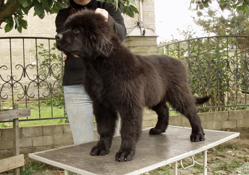 Фото: Виктор Хрищанович