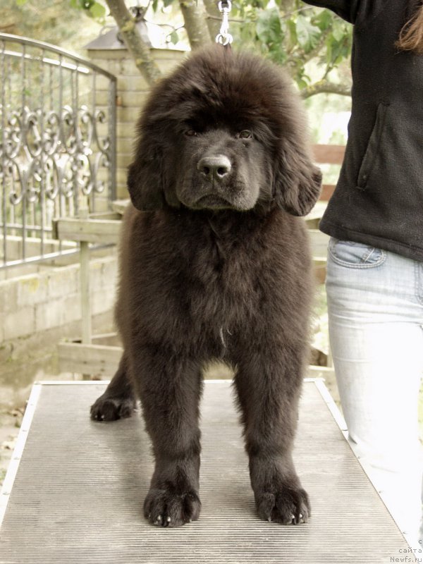 Фотография № 164366