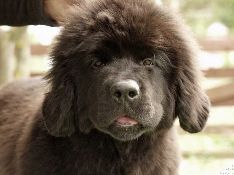 Фотография № 164368