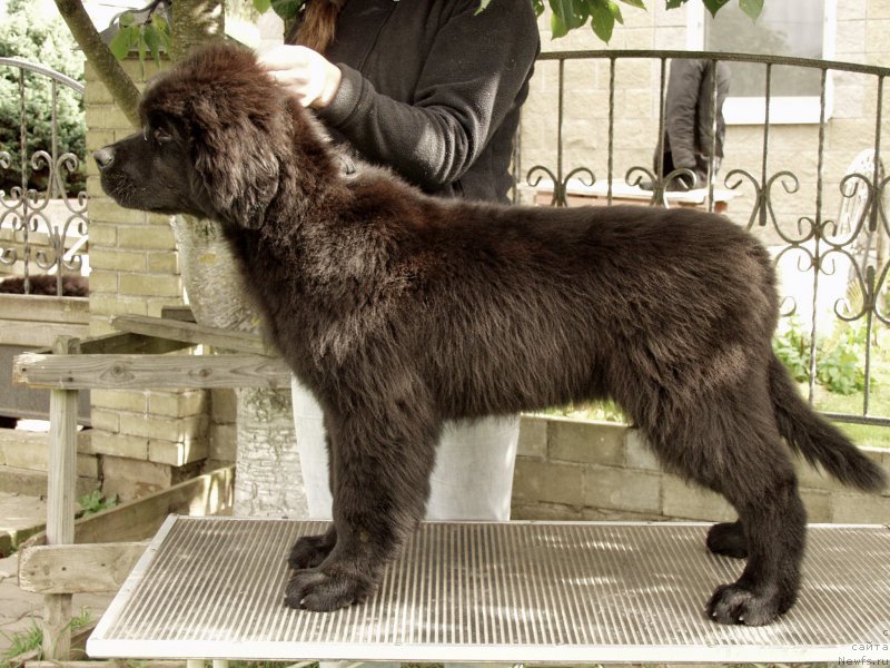 Фотография № 164369