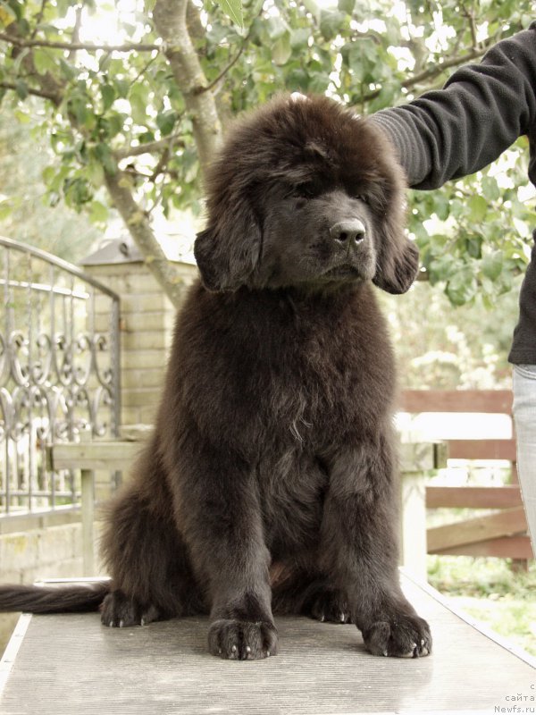 Фотография № 164371