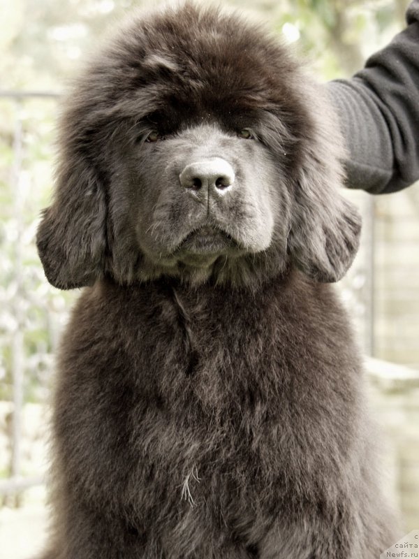 Фотография № 164373