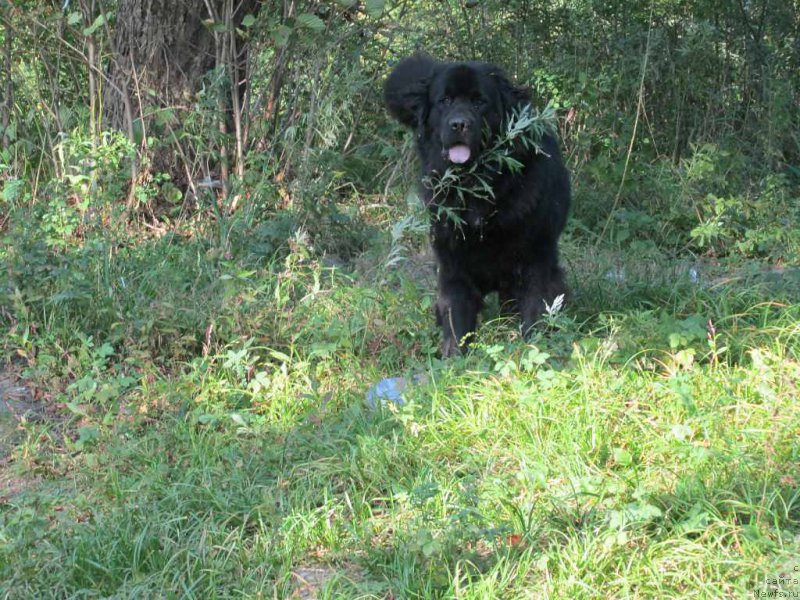 Фото: Наталья Баканова