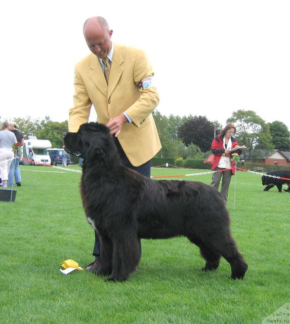 Фотография № 16444