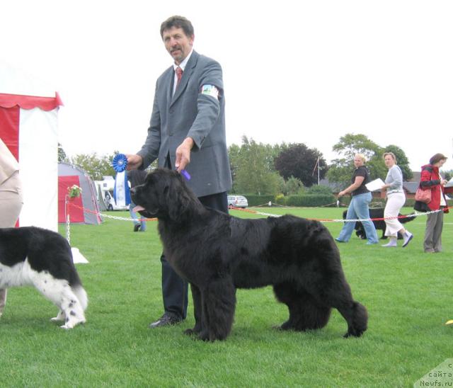 Фотография № 16445