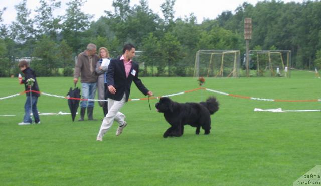 Фотография № 16446