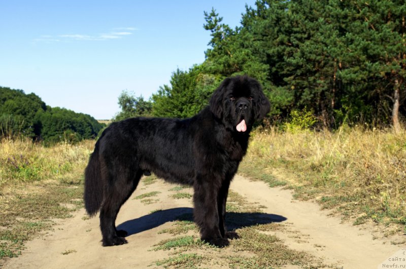 Фотография № 164498