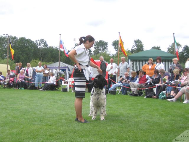 Фотография № 16450