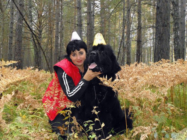 Фотография № 164500