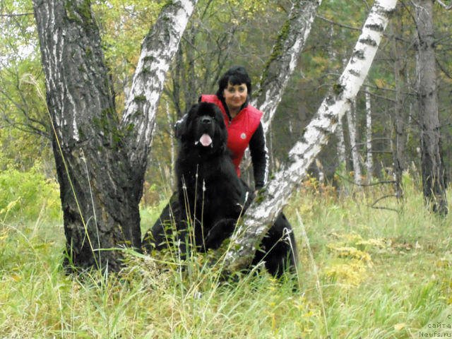 Фотография № 164502