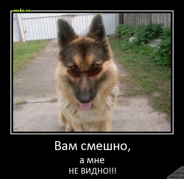 Фото: Сергей Жуков