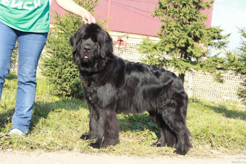 Фотография № 164540