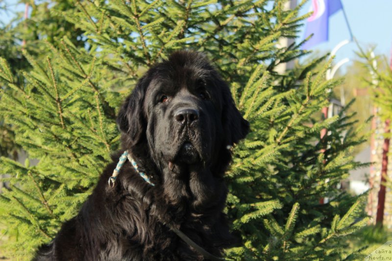 Фотография № 164542