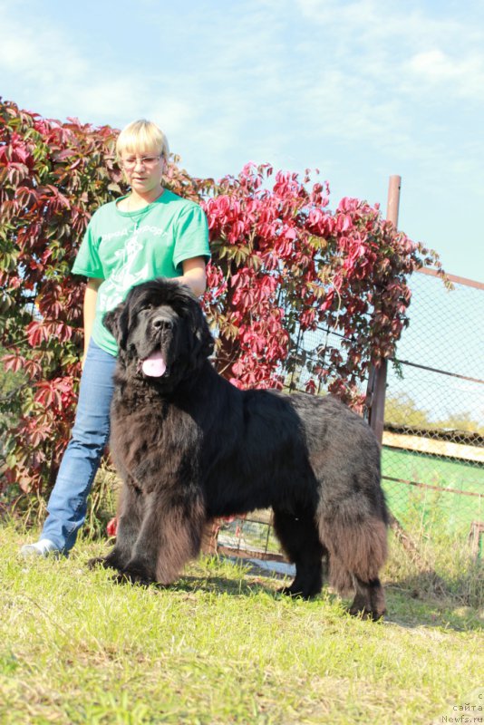 Фотография № 164546