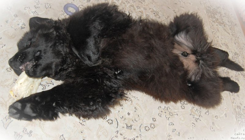 Фотография № 164585