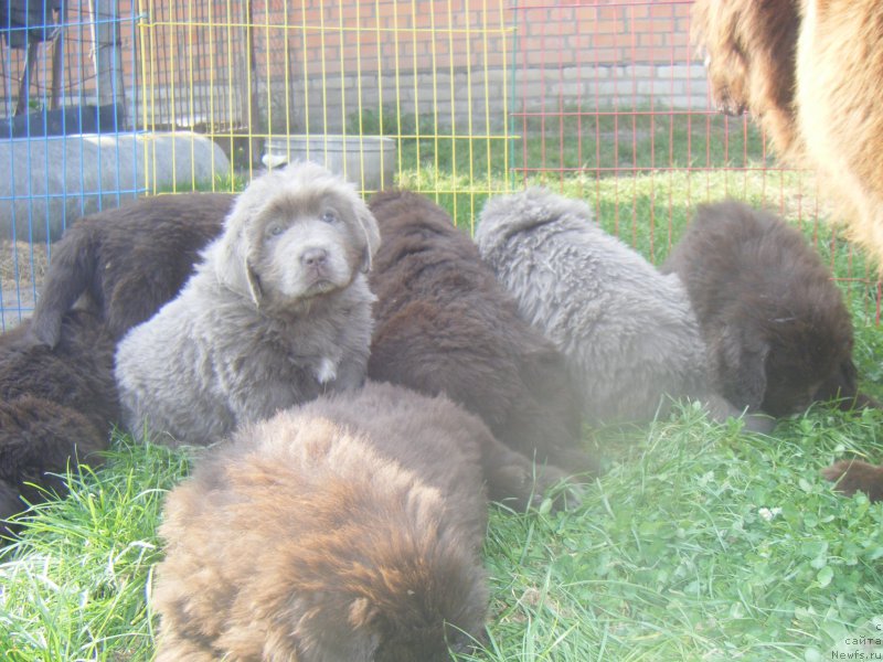 Фотография № 164628