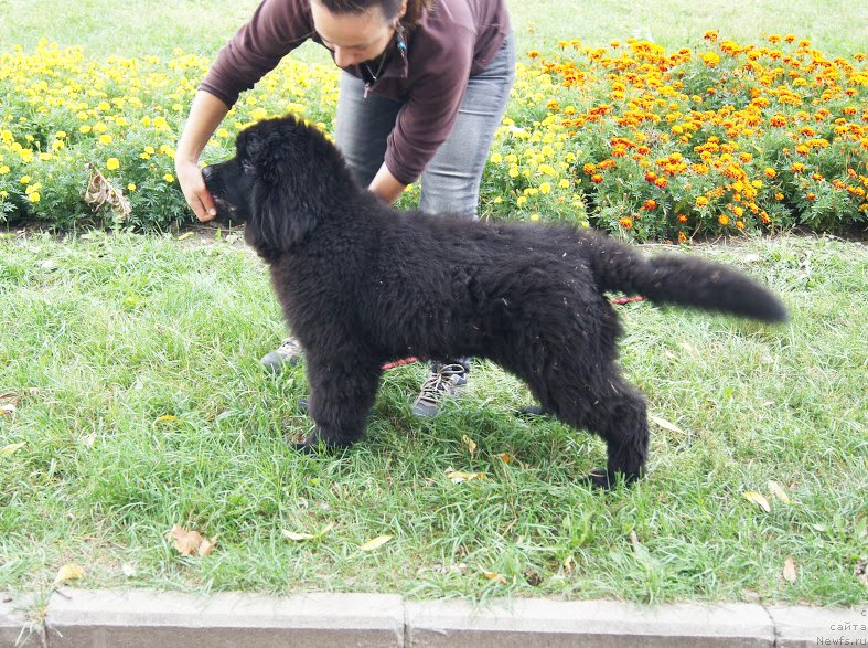 Фотография № 164630