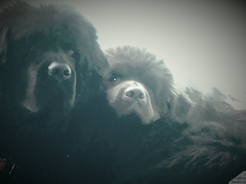 Фотография № 164640