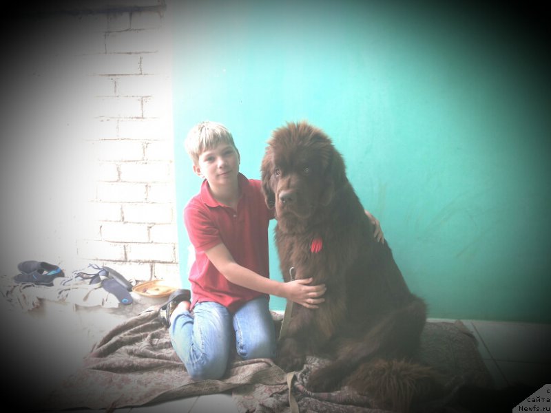 Фотография № 164664