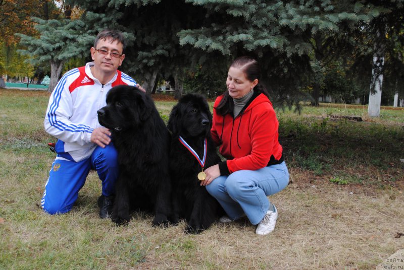 Фото: Роман, ньюфаундленд Жгучий Брюнет, ньюфаундленд Славянка с Берега Дона (Slavjanka s Berega Dona), Елена Бобнева