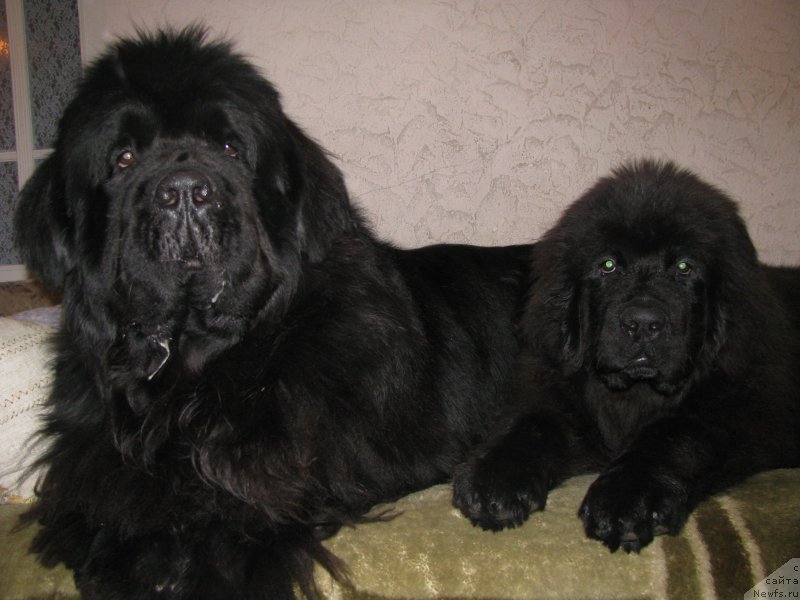 Фото: [d11088] и Джиам