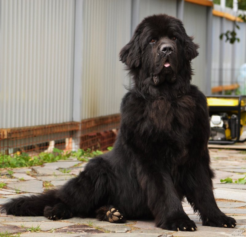 Фотография № 164679