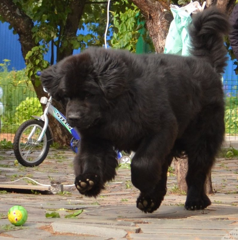 Фотография № 164680