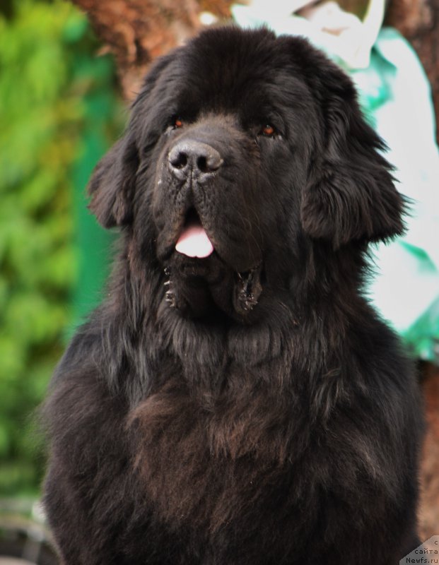 Фотография № 164682