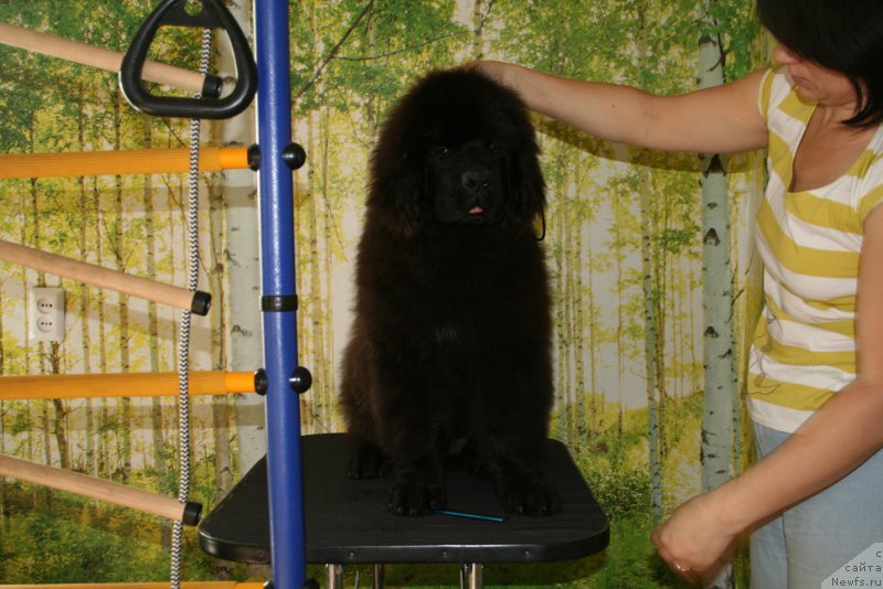 Фотография № 164700