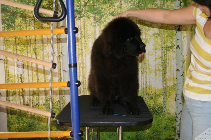 Фотография № 164701