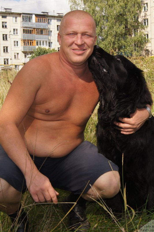 Фото: ньюфаундленд Валмонд Победитель (Valmond Pobeditel)