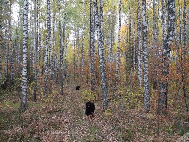 Фотография № 164716